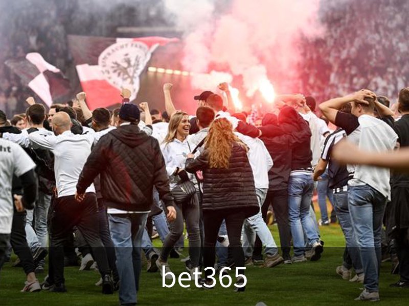 关于bet365